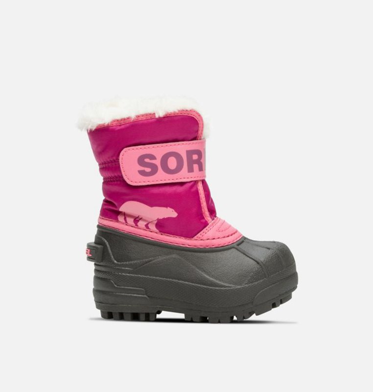 Kids Snow Boots Pink/Black - Sorel Toddler Commander™ - 385267-JAU